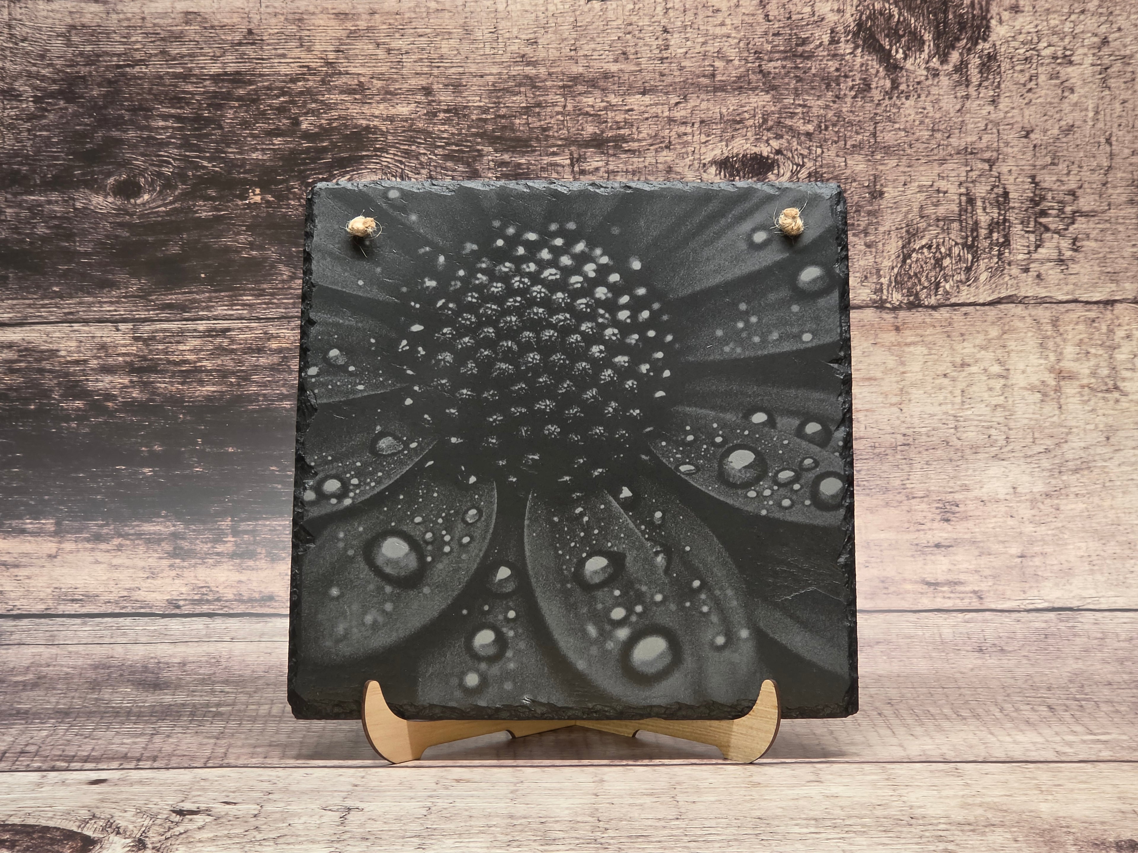 Laser Engraved Dew-Covered Daisy on Slate